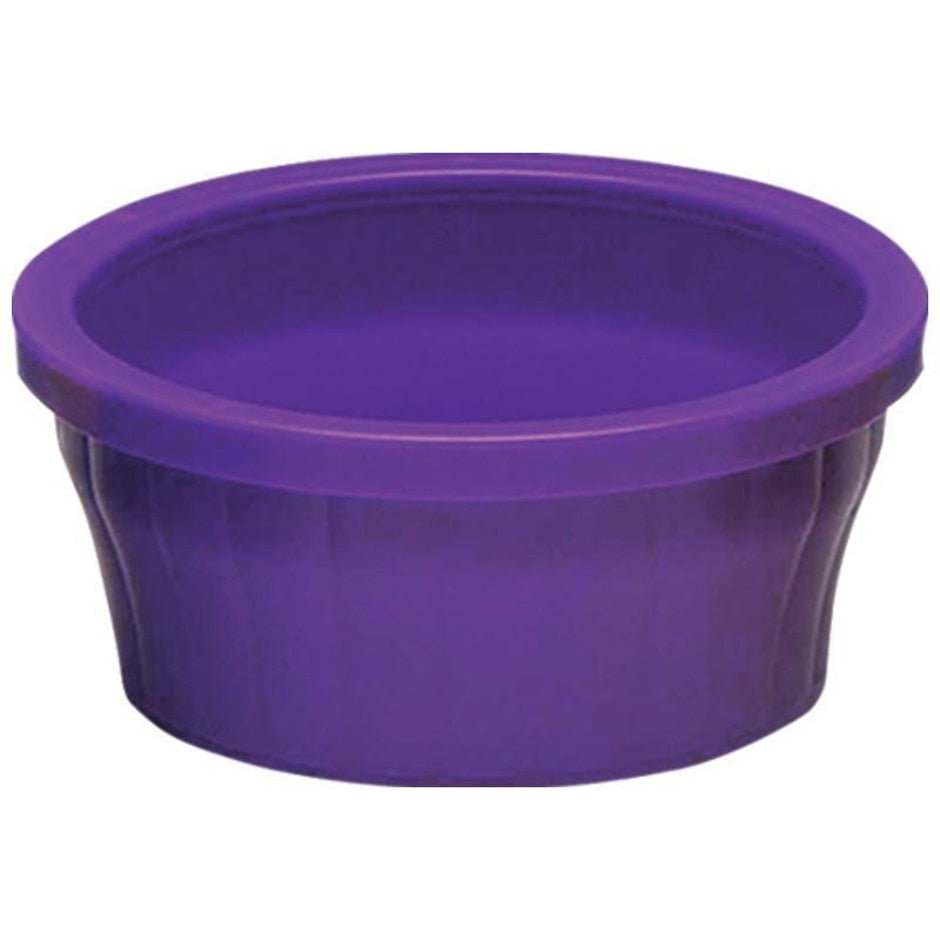 COOL CRITTER CROCK LRG