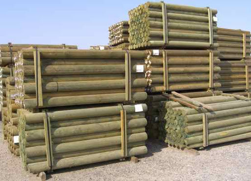 LODGEPOLES 68 CT UNIT 5" X 8'