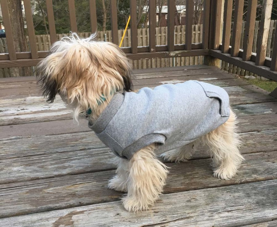 ET 550666 SWEATSHIRT GRAY LGE