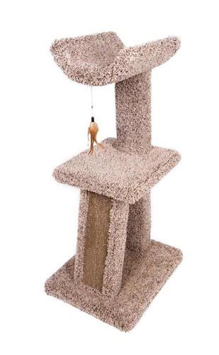 KITTY CRADLE AND CORRUGATE 012