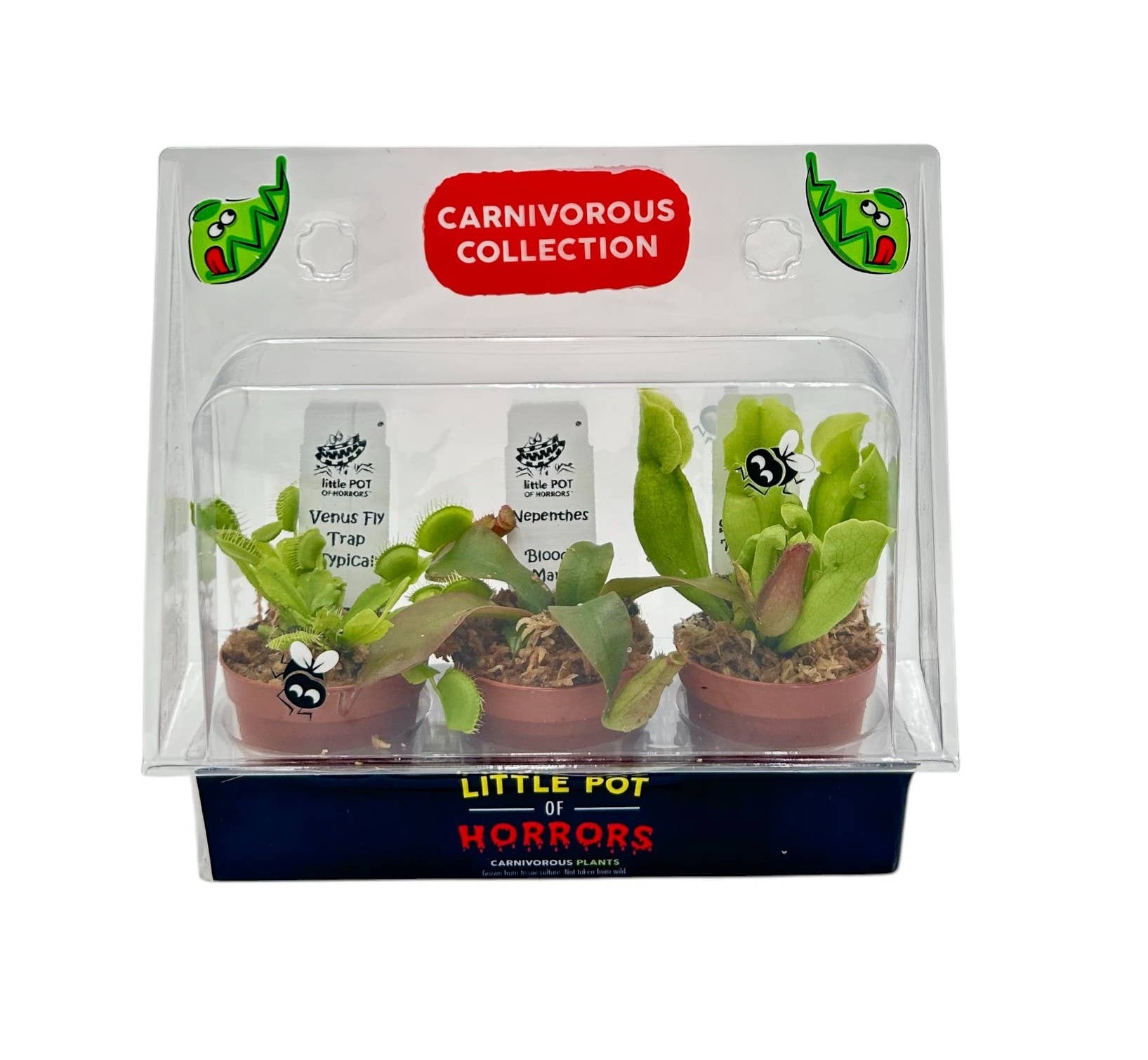 Carnivorous Plants_SP