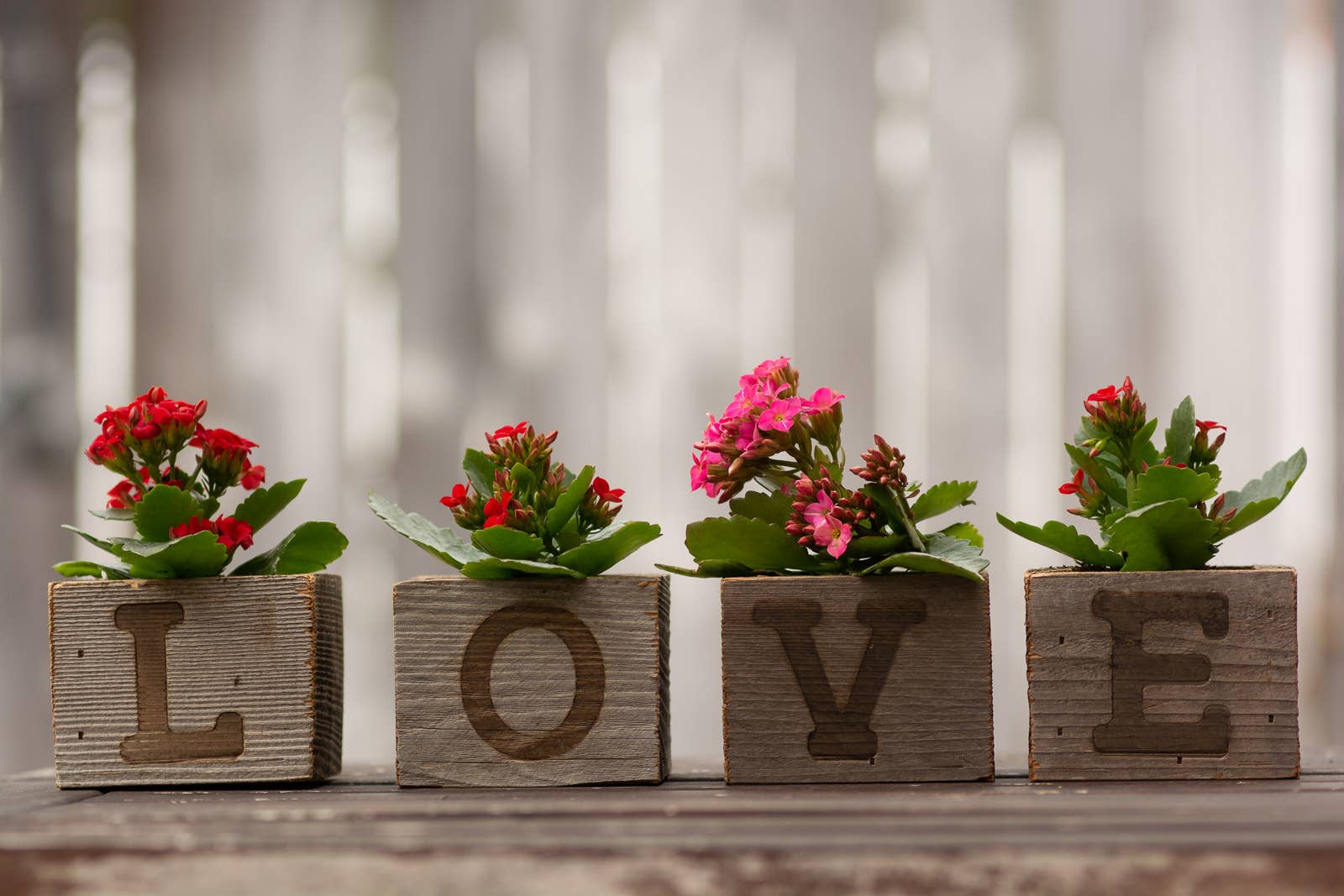 Love Reclaimed