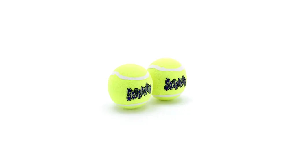 SQUEAKER TENNIS BALL LG2 PK