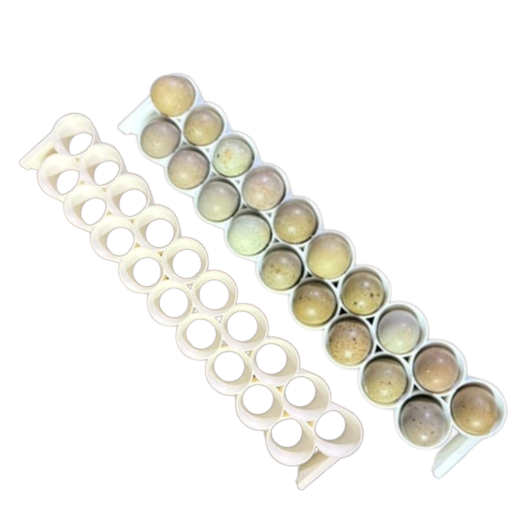 Standard & Button Quail Egg Rails for Cimuka®/Hatching Time® Incubator