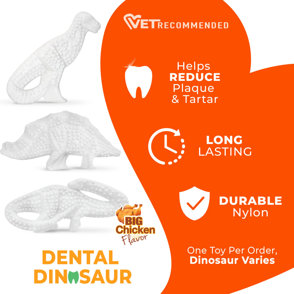 Nylabone Power Dog Chew Dental Dinosaur