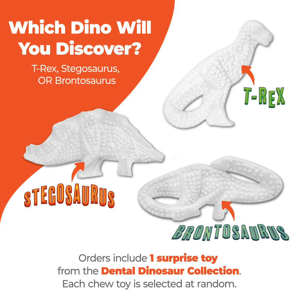 Nylabone Power Dog Chew Dental Dinosaur