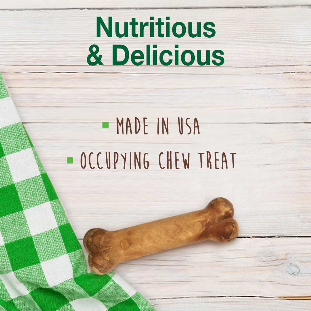 Nylabone Healthy Edibles All-Natural Long Lasting Lasting Dog Chew Bacon Flavored Regular