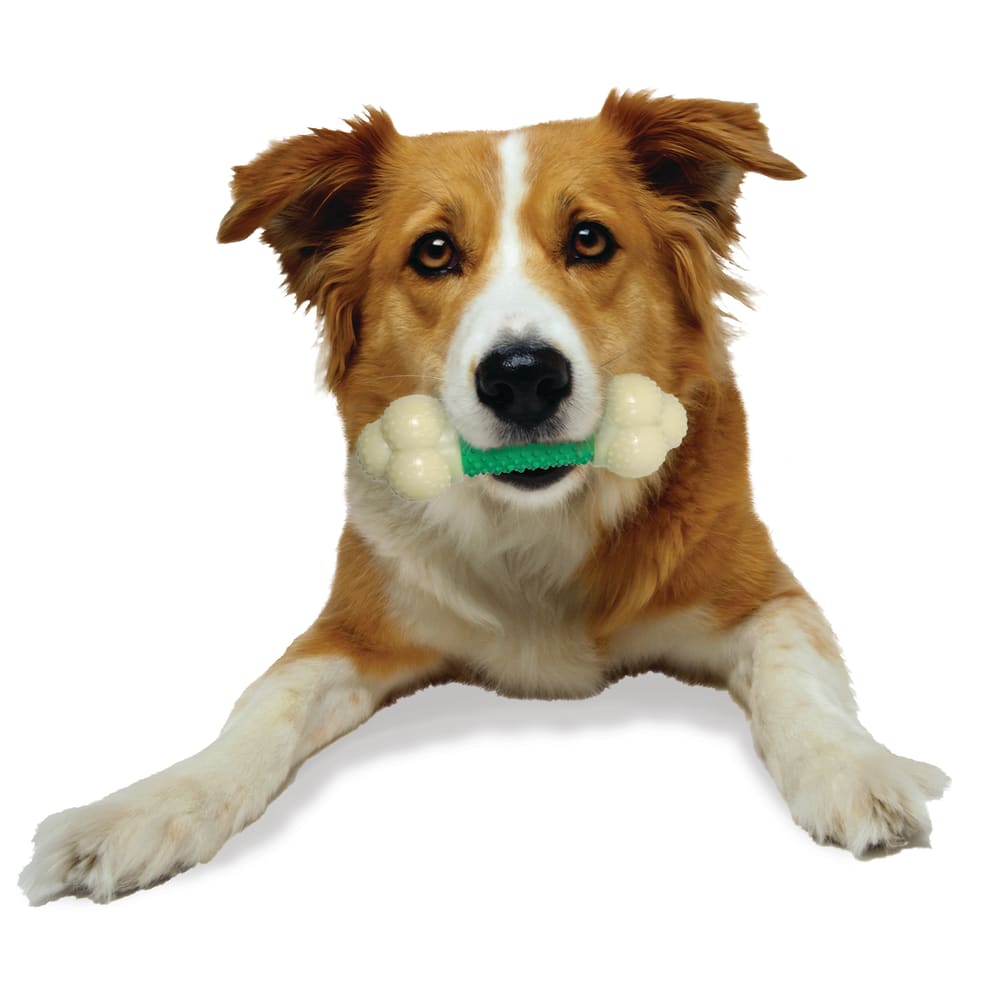 Nylabone Power Chew Double Action Bone Bacon Flavored Dog Chew Wolf