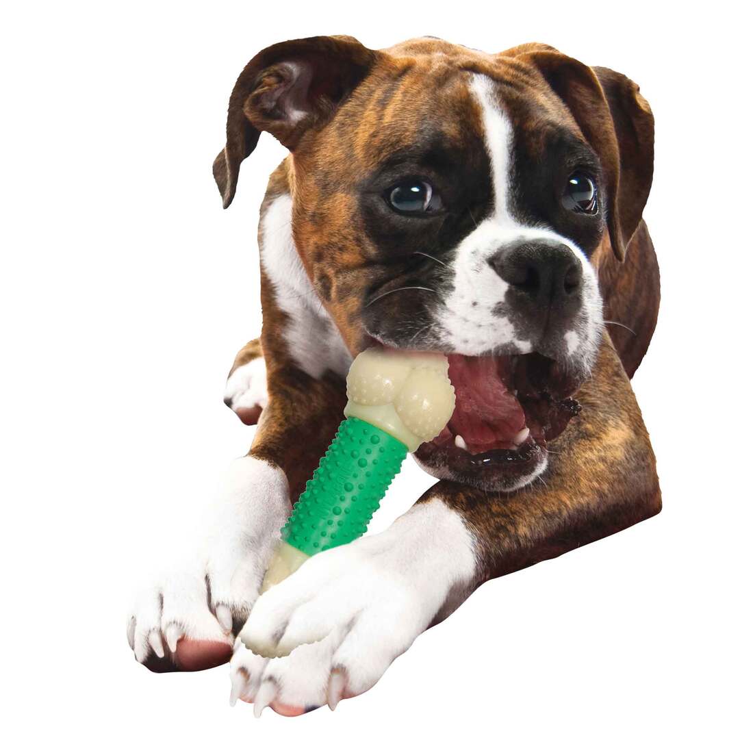 Nylabone Dura Chew Double Action Dog Chew Souper