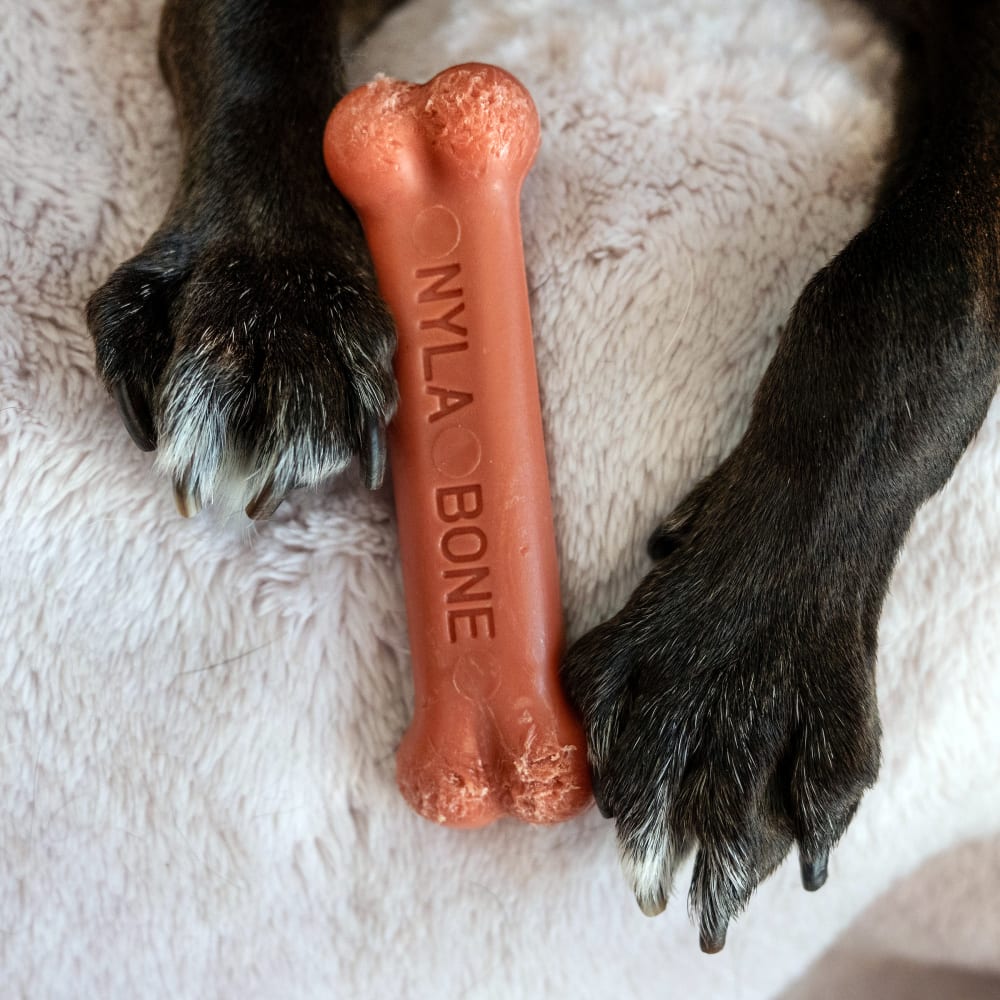 Nylabone Power Chew Original Dog Bone Bacon Flavor Petite