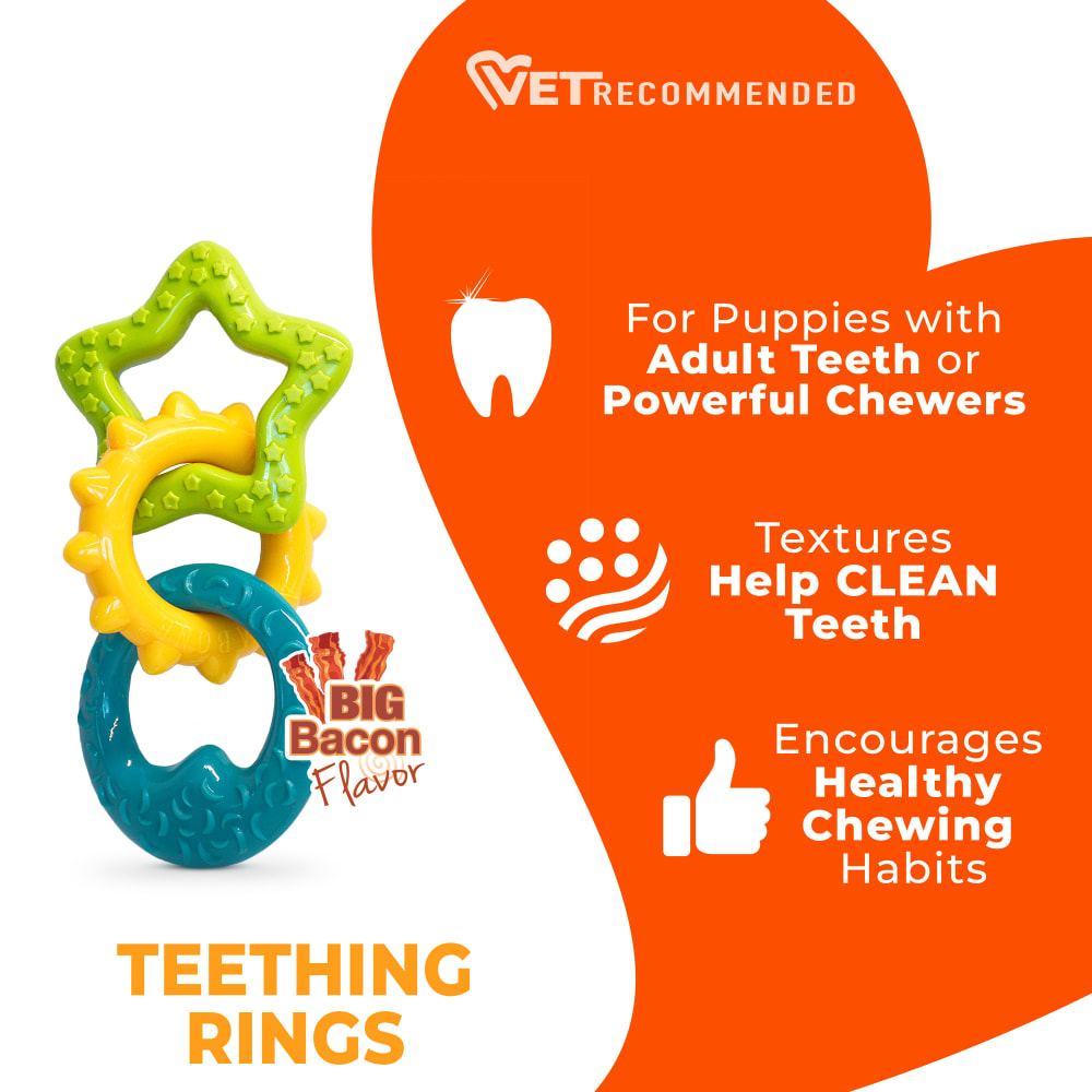 Nylabone Puppy Power Chew Teething Toy Rings