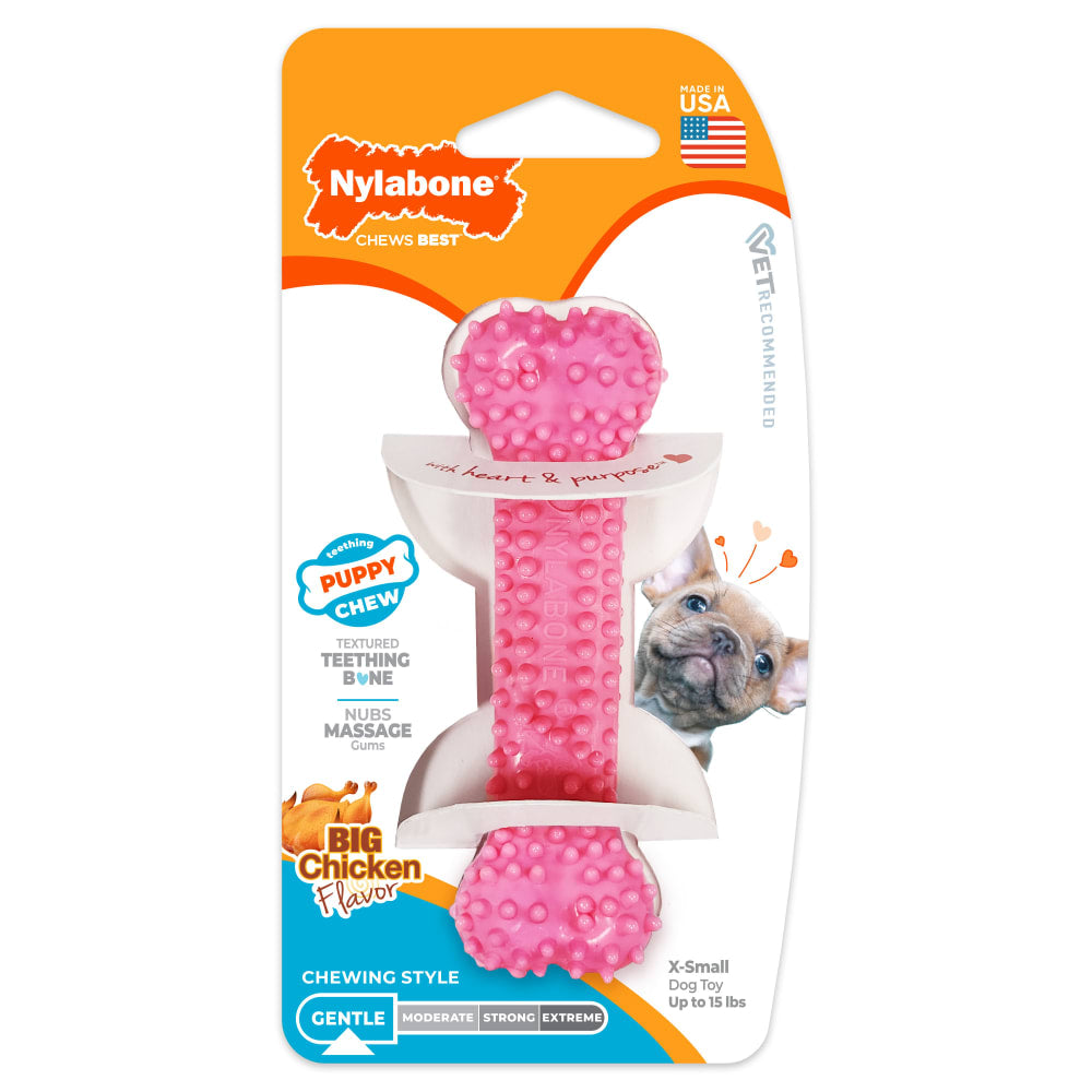 Nylabone Puppy Teething Toy xs