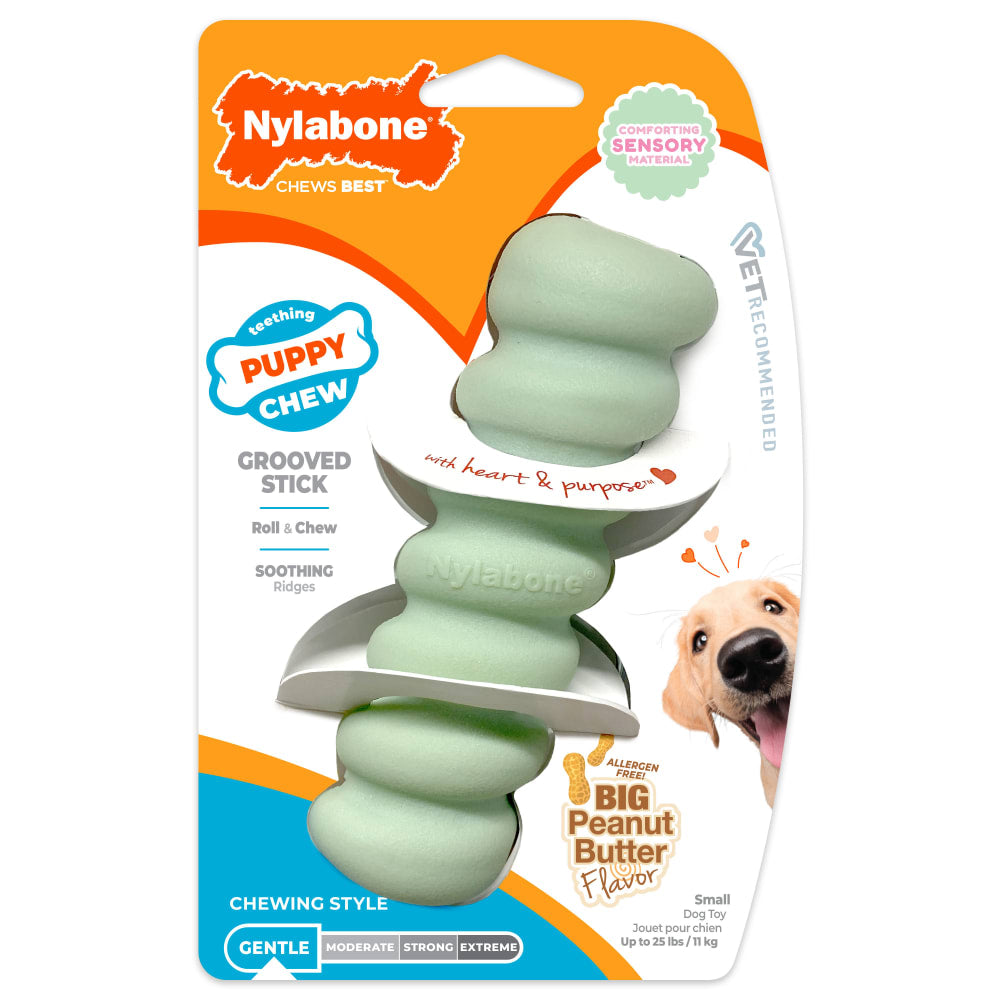 Nylabone Puppy Teething Toy