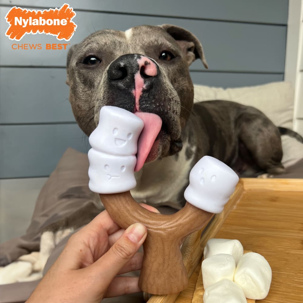 Nylabone Marshmallow Stick Lg