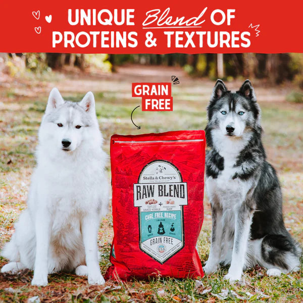 Stella & Chewy's Cage-Free Raw Blend Kibble for Dogs 3.5lb