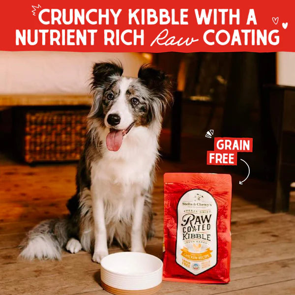 Stella & Chewy's Cage-Free Chicken Raw Coated Kibble for Dogs 22lb