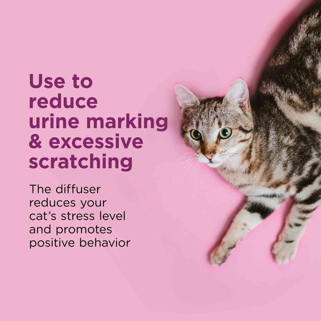 Comfort Zone Calming Diffuser for Cats Refill 48ml 30 Day Supply