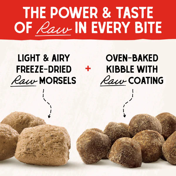 Stella & Chewy's Cage-Free Raw Blend Kibble for Dogs 10lb