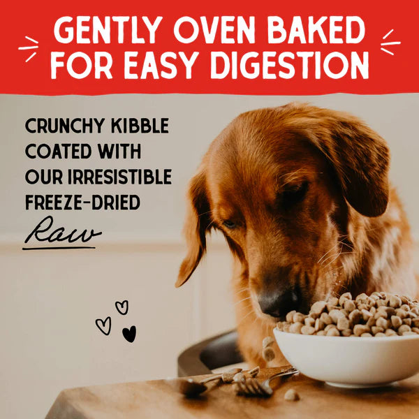 Stella & Chewy's Wild Caught Whitefish Raw Coated Kibble for Dogs 3.5lb
