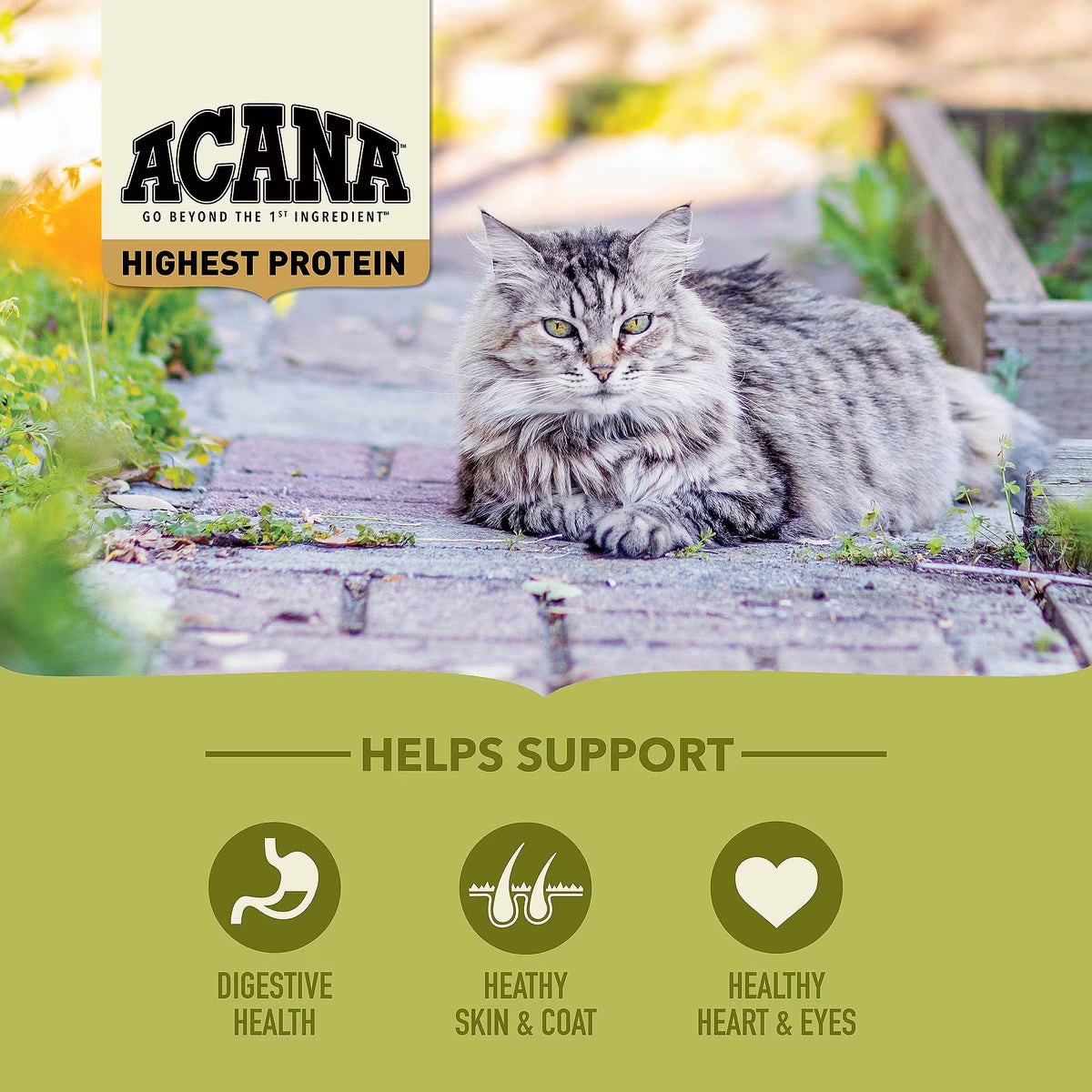 ACANA GRASSLANDS CAT 4LB