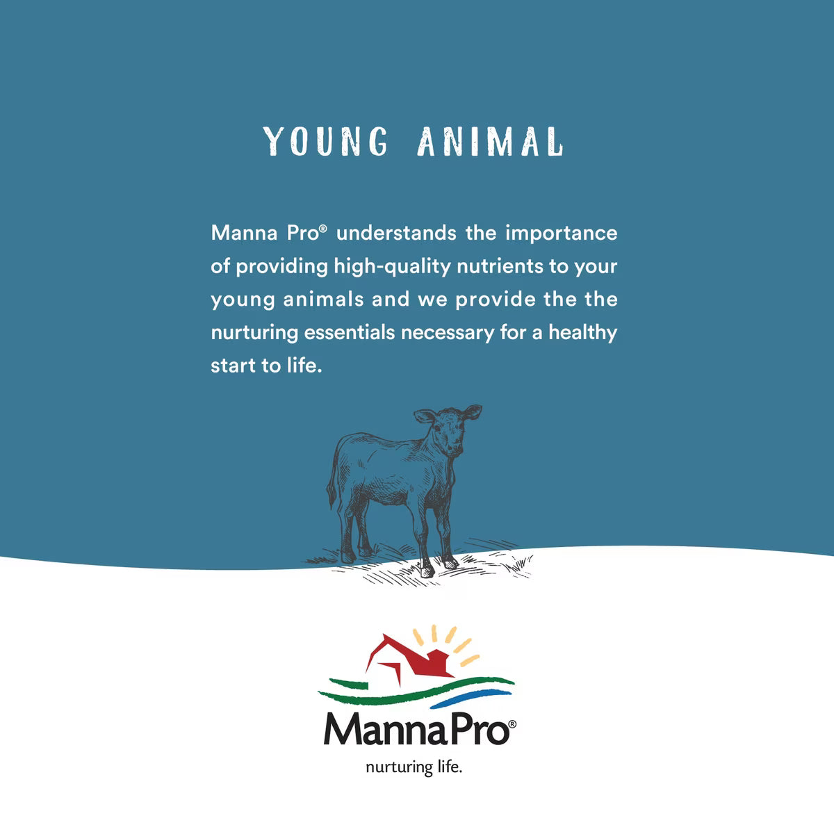 Manna Pro Lamb Milk Replacer with Probiotics Powder, 3.5-lb