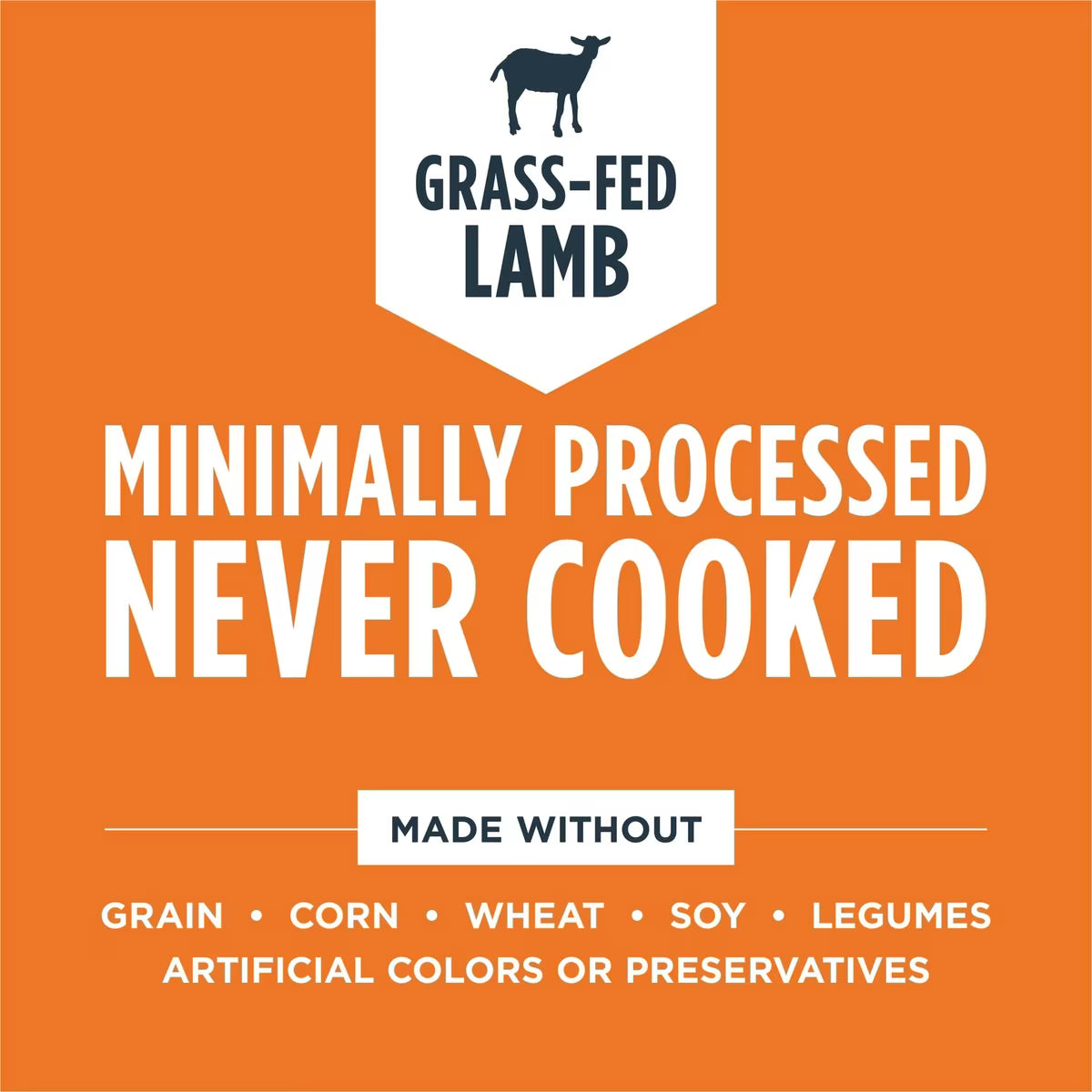 Instinct FreshDried Bites Grass-Fed Lamb Recipe Grain-Free Adult Freeze-Dried Dog Food 3 oz