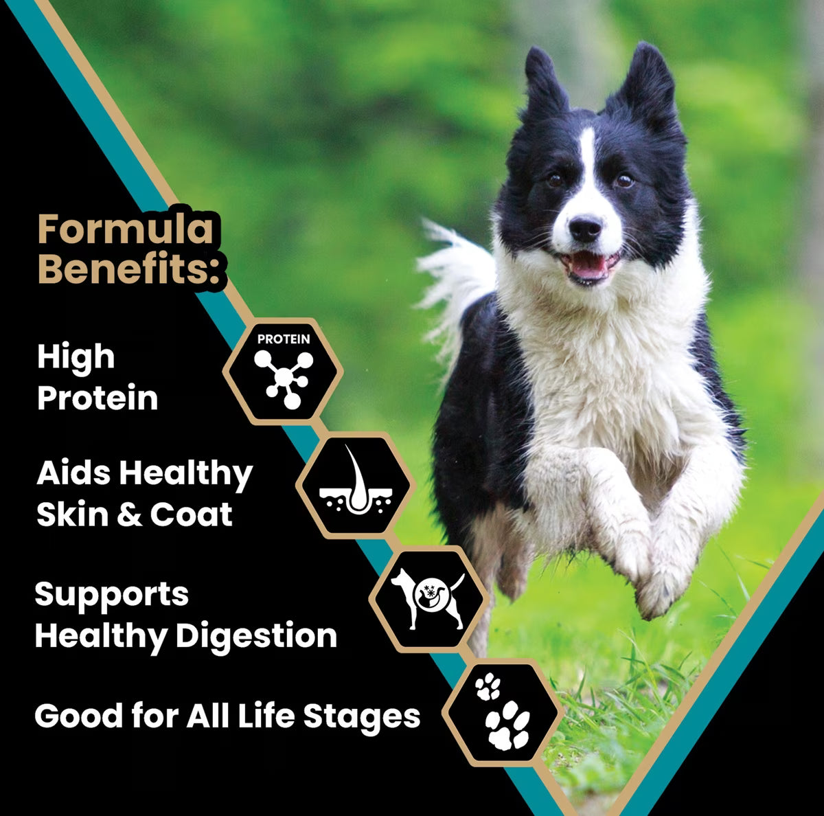 VICTOR Hi-Pro Plus 30/20 Active Sporting High Protein Gluten-Free Dry Dog Food 40lb
