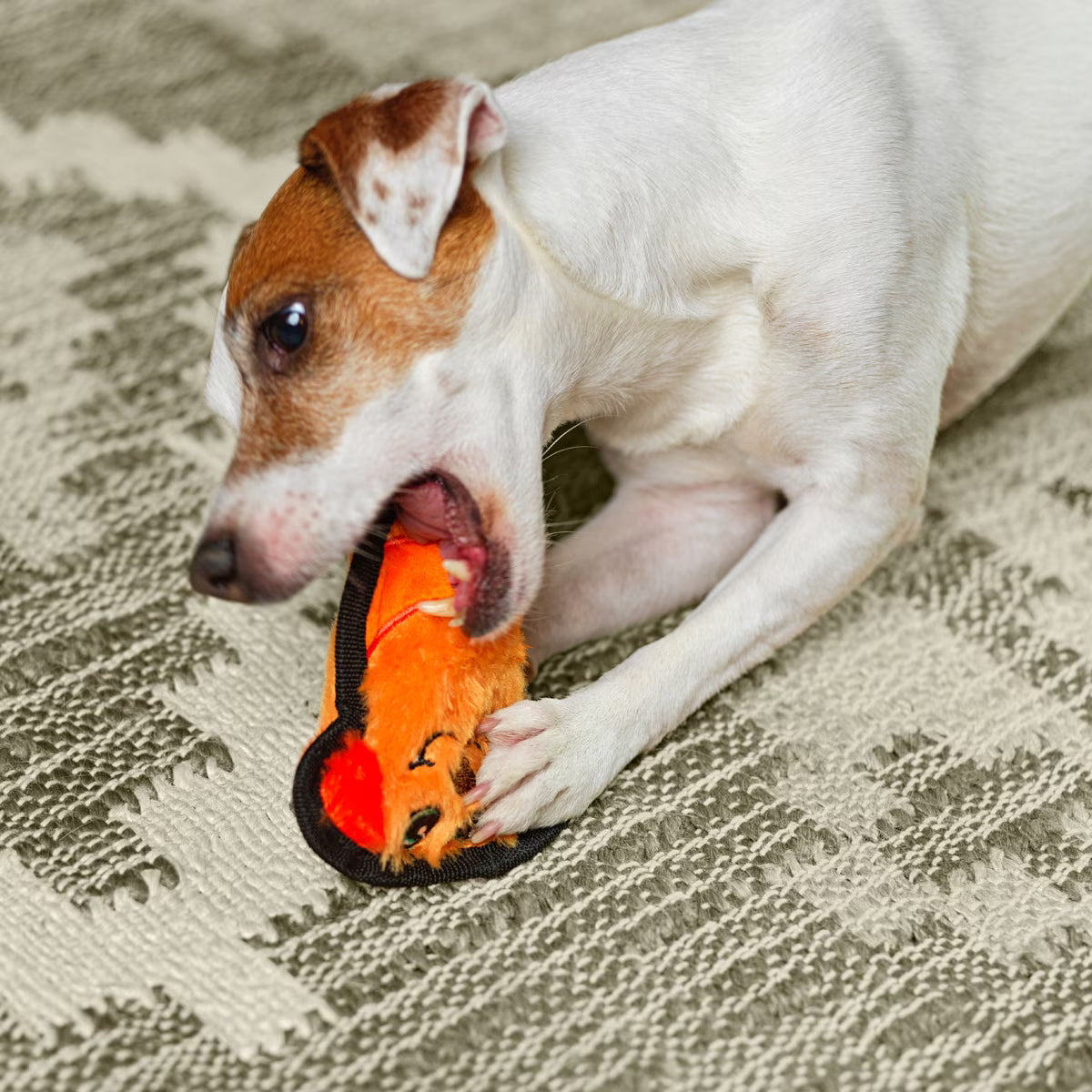 Outward Hound Invincibles Minis Dog Toy Orange XS