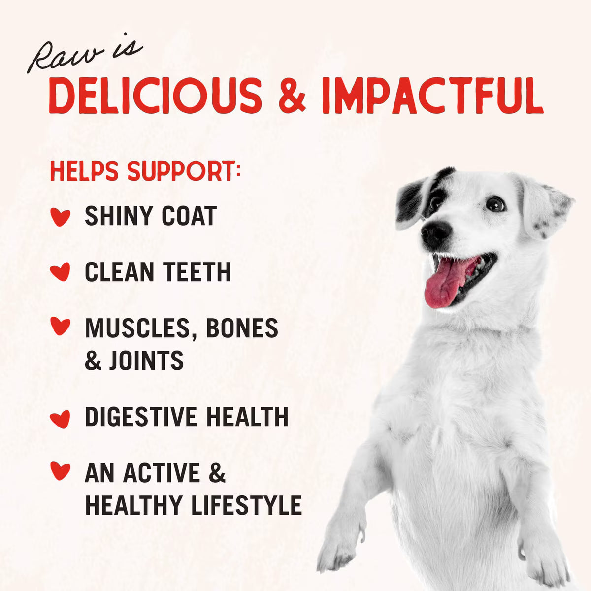 Stella & Chewy's Freeze-Dried Lamb Hearts Dog Treats 3oz