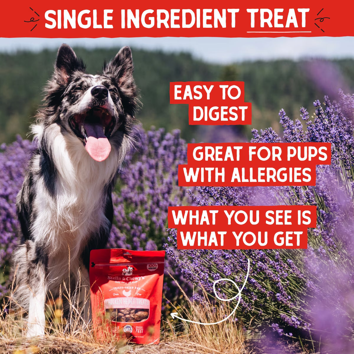 Stella & Chewy's Chicken Hearts Freeze-Dried Raw Dog Treats 3oz