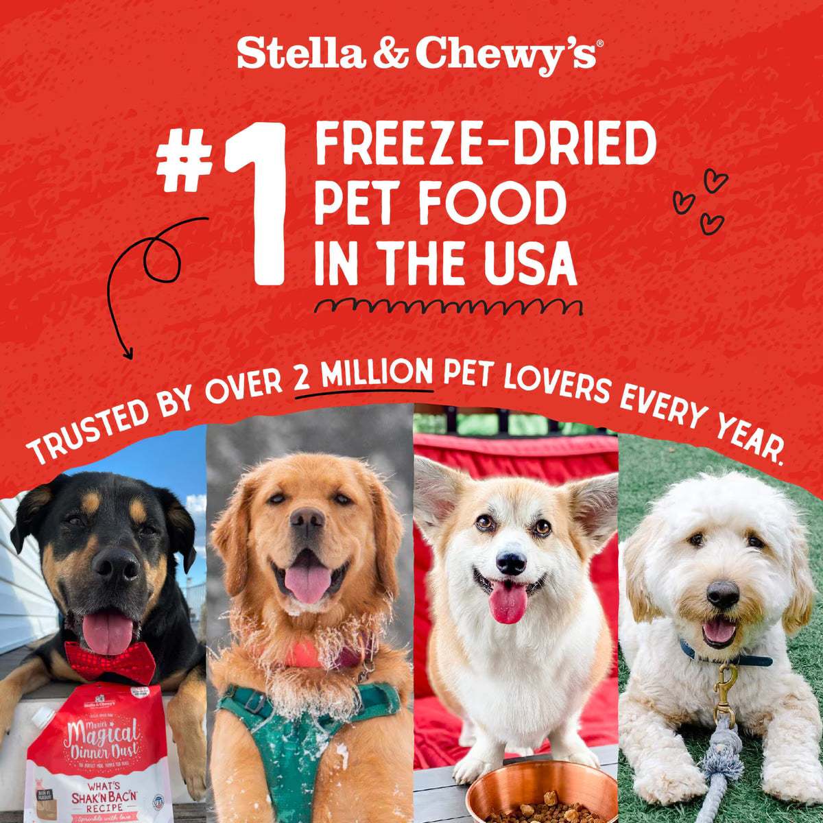 Stella & Chewy's Chicken Mixers Freeze-Dried Raw Dog Food Topper 1oz