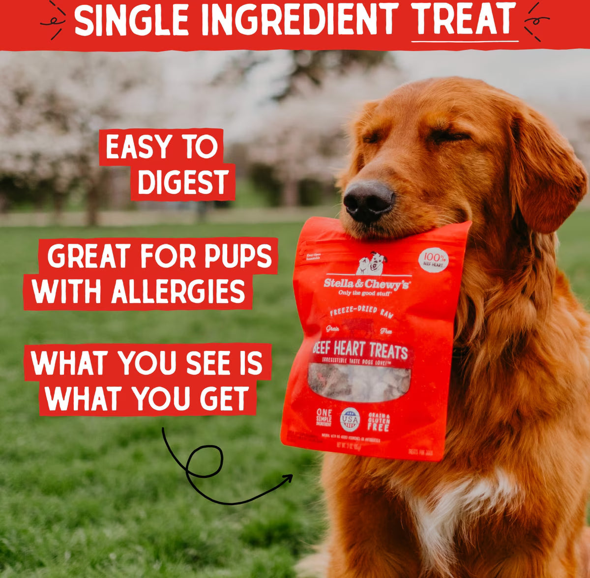 Stella & Chewy's Beef Heart Freeze-Dried Raw Dog Treats 3oz