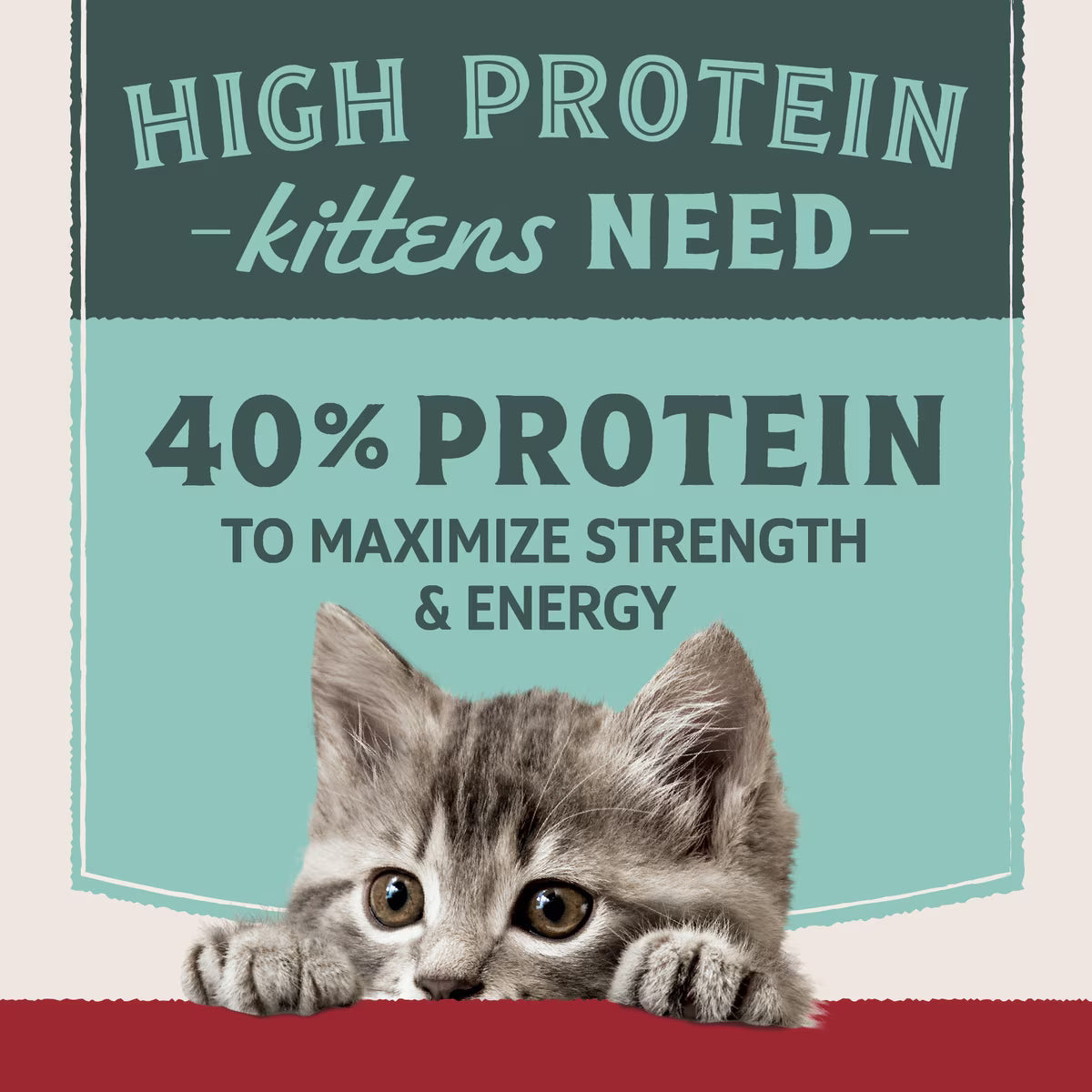 Natural Balance Ultra Protein Chicken & Chicken Meal Recipe Dry Kitten Food 3lb