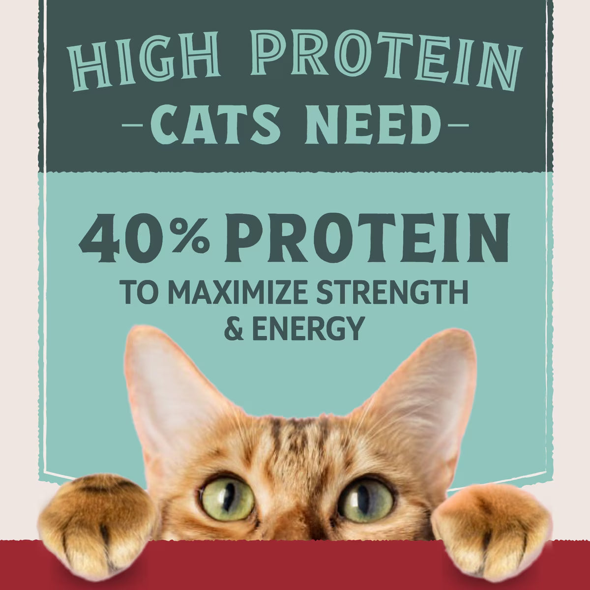 Natural Balance Ultra Protein Chicken & Chicken Meal Recipe Dry Cat Food 3lb