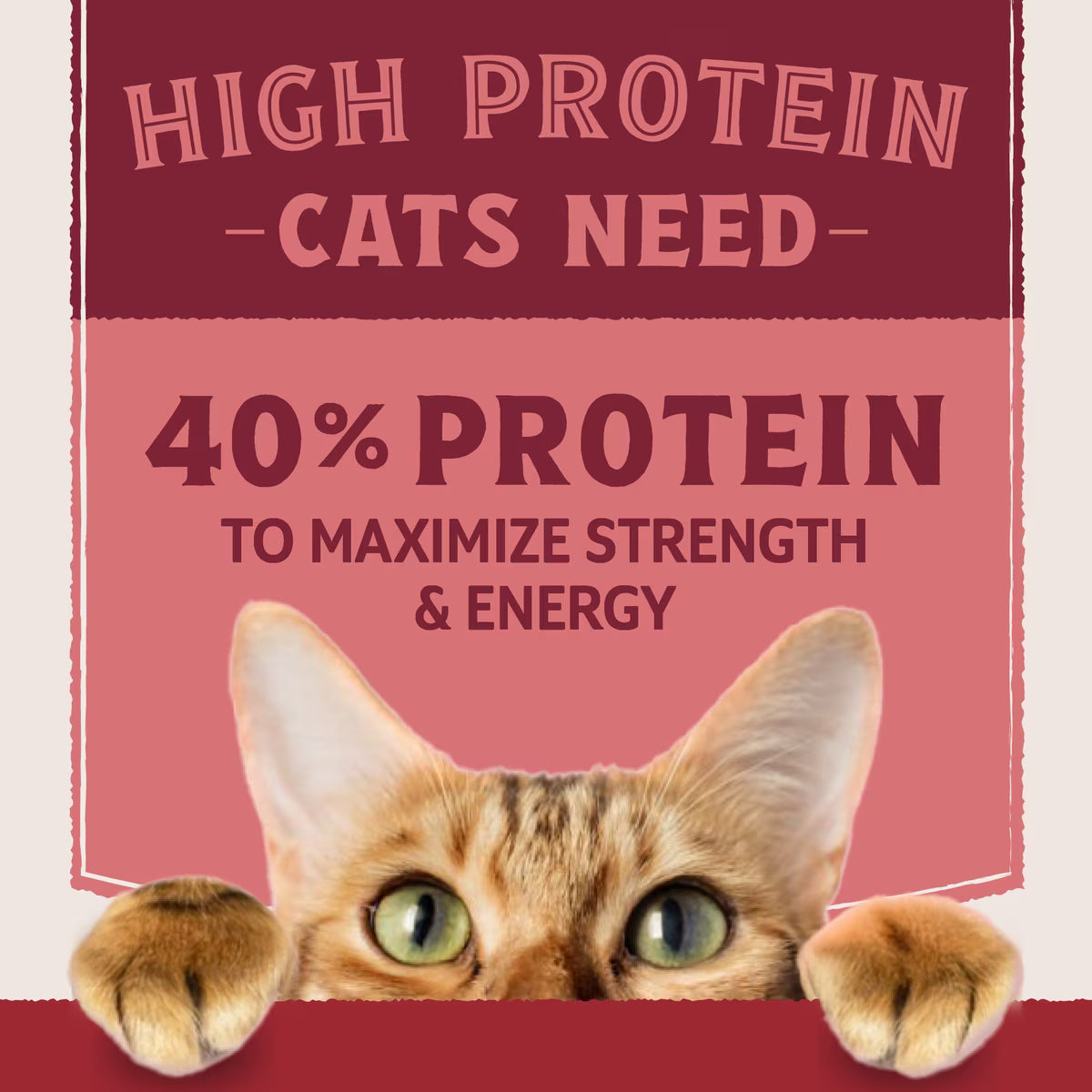 Natural Balance Ultra Protein Salmon & Chicken Meal Recipe Dry Cat Food 3lb