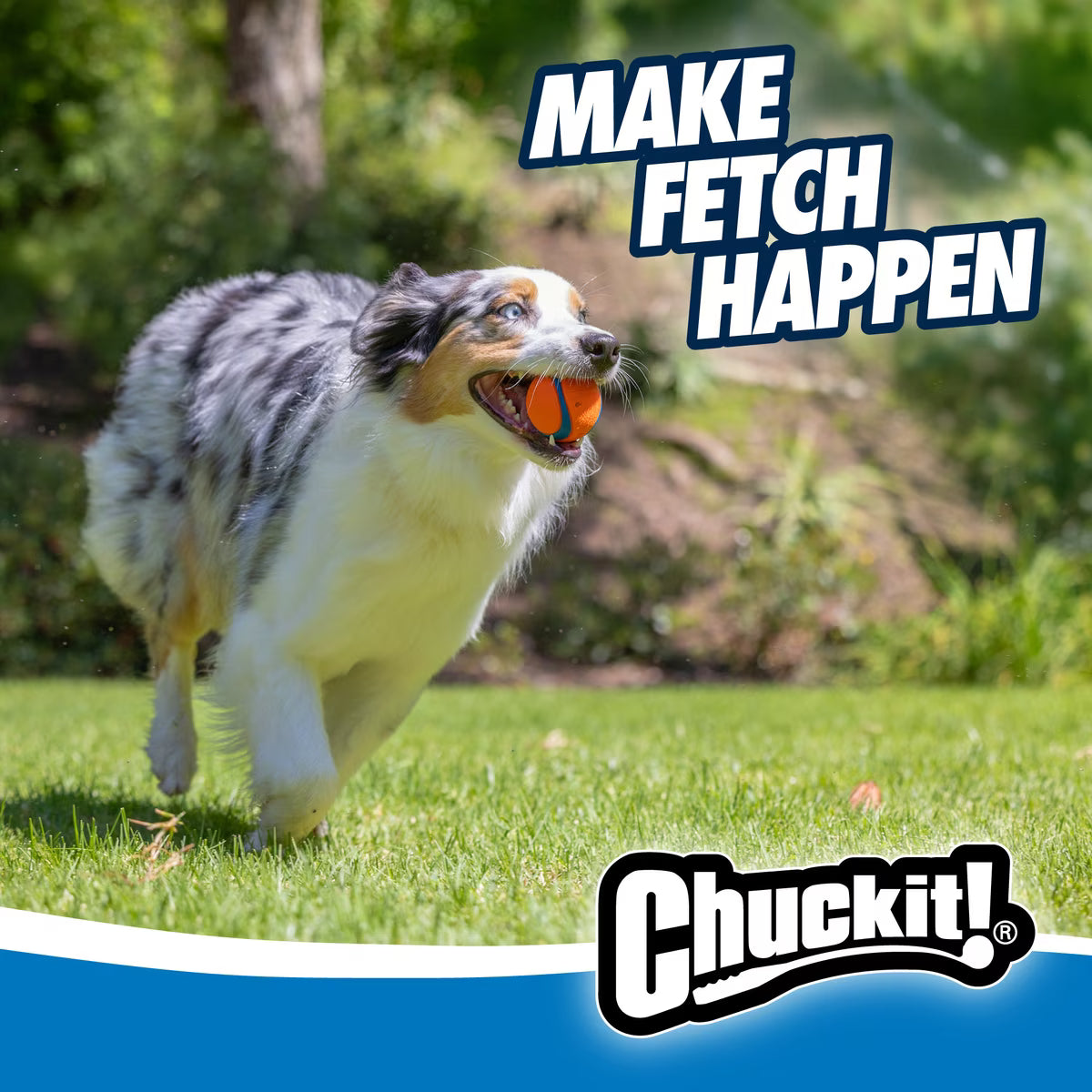 CHUCKIT ULTRA  BALL 2PK