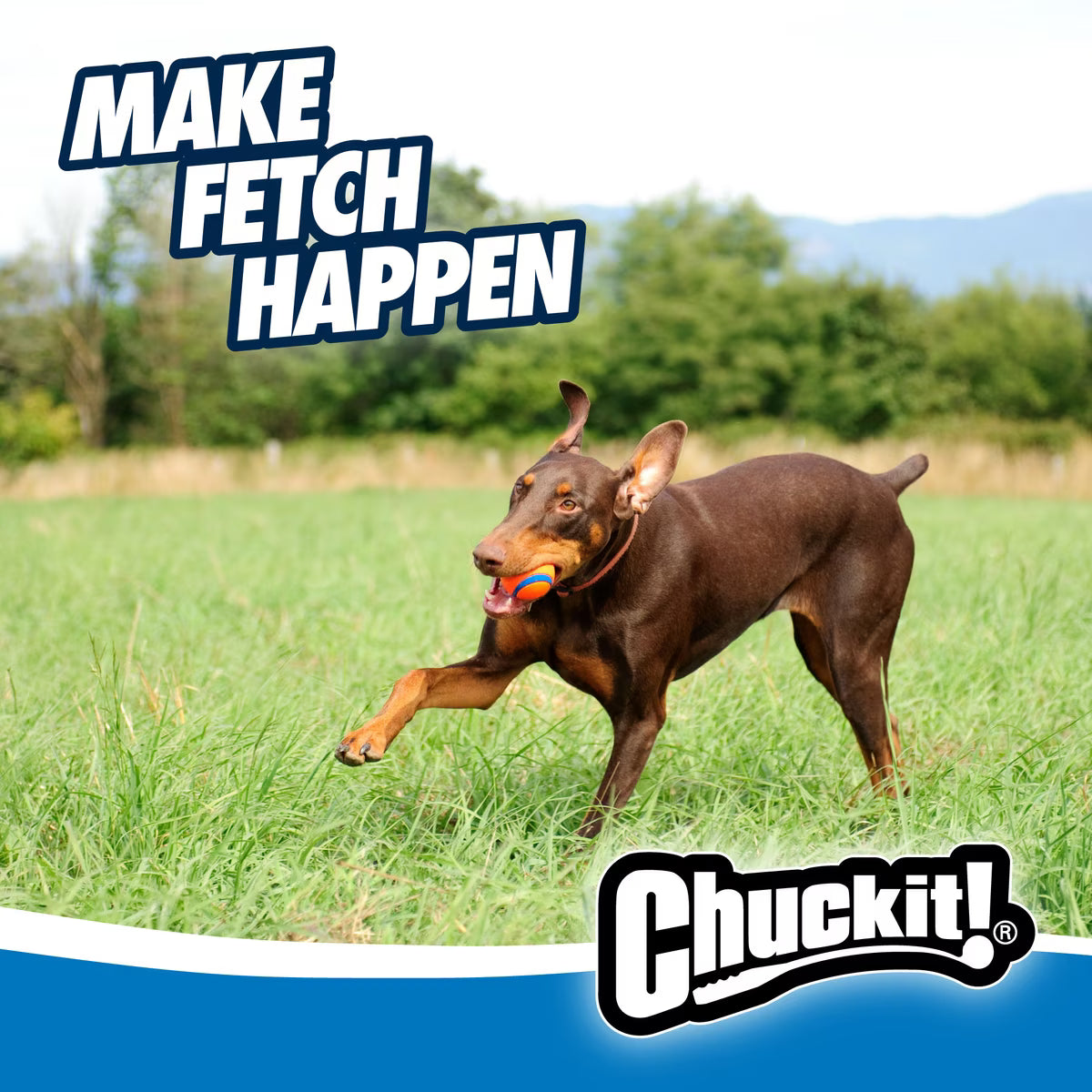 CHUCKIT ULTRA  BALL LG