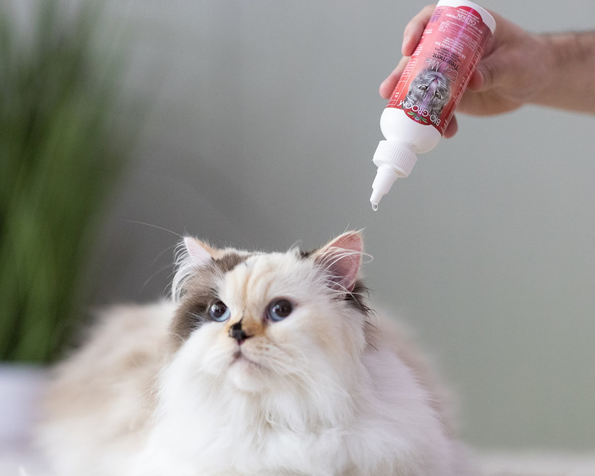 Bio-Groom Ear Mite Treatment for Dogs & Cats 4oz