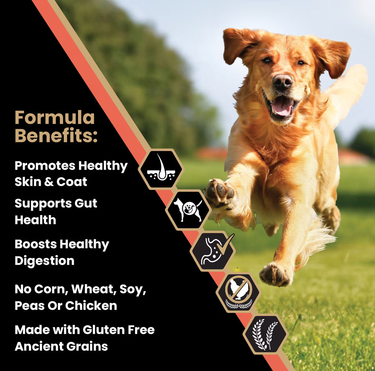 VICTOR Sensitive Skin & Stomach Salmon Meal & Brown Rice Recipe Dry Dog Food 15LB