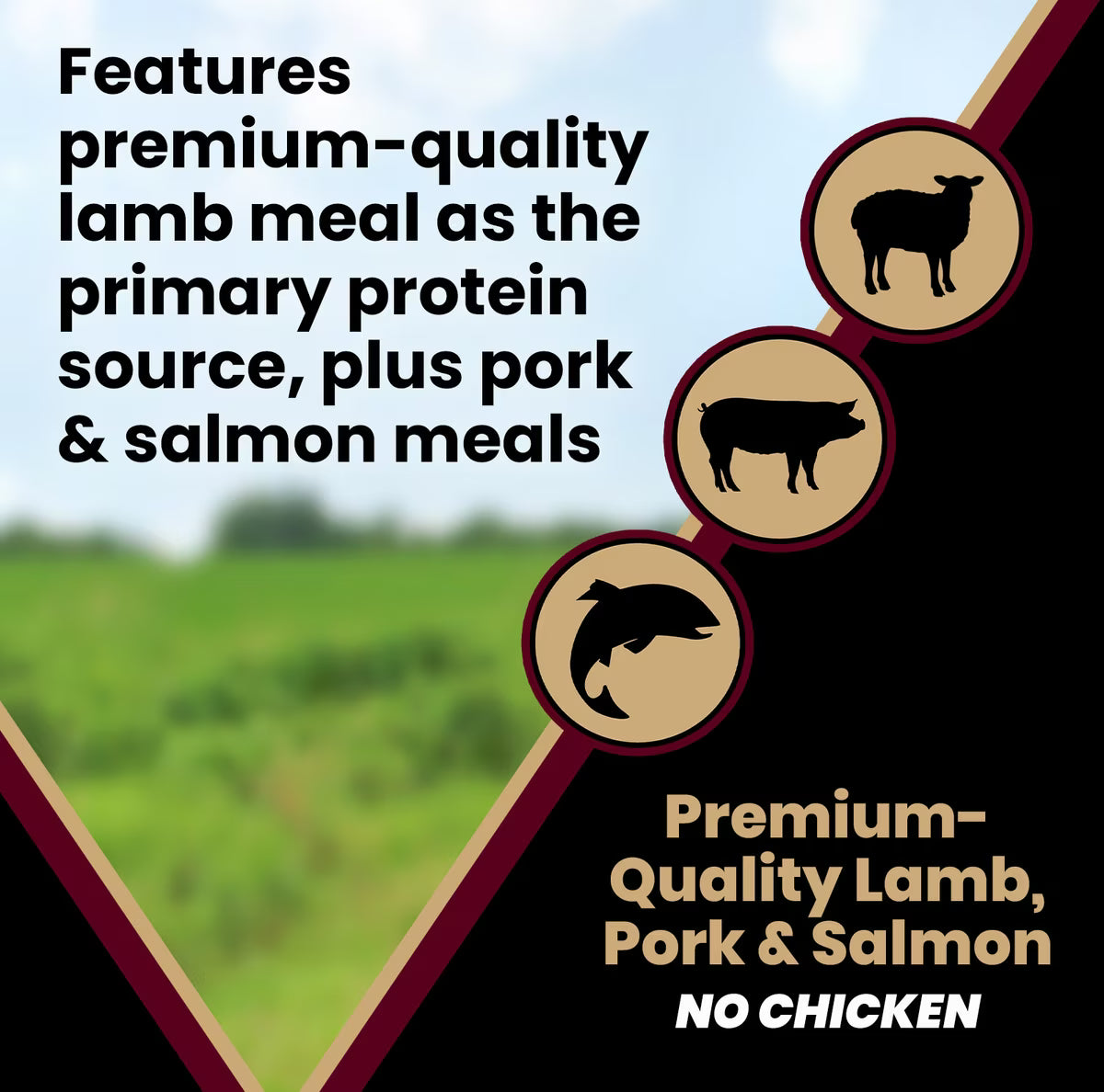 VICTOR Sensitive Skin & Stomach Grain-Free Lamb Meal & Sweet Potato Recipe Dry Dog Food 30 LB