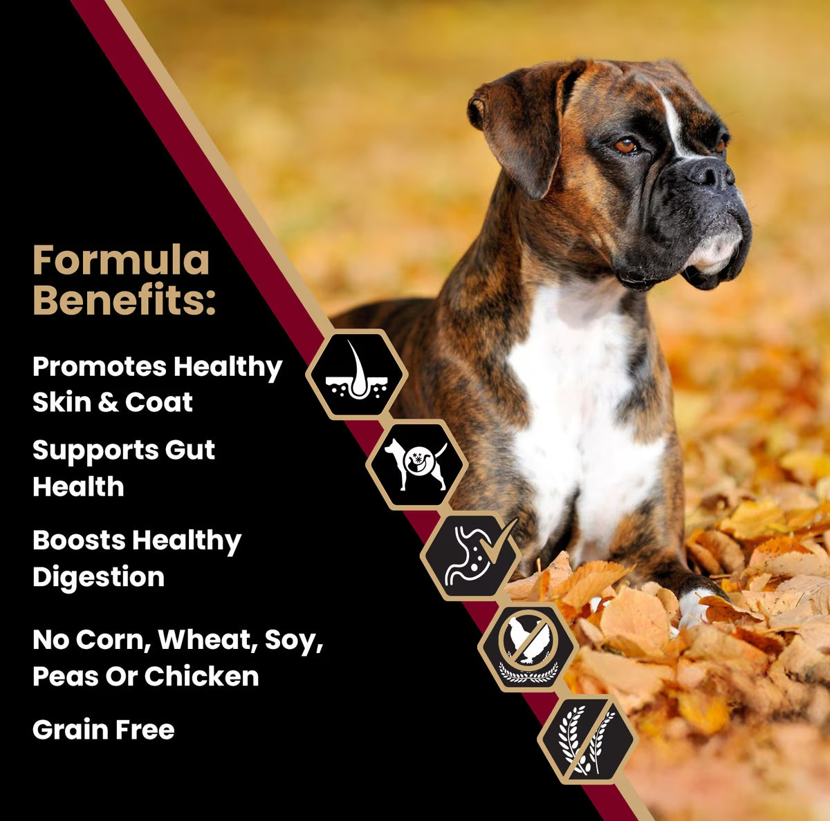 VICTOR Sensitive Skin & Stomach Grain-Free Lamb Meal & Sweet Potato Recipe Dry Dog Food 30 LB