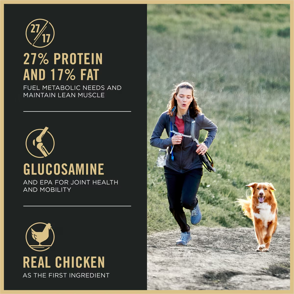 Purina Pro Plan Sport Active All Life Stages High-Protein 27/17 Chicken & Rice Recipe Dry Dog Food 37.5lb