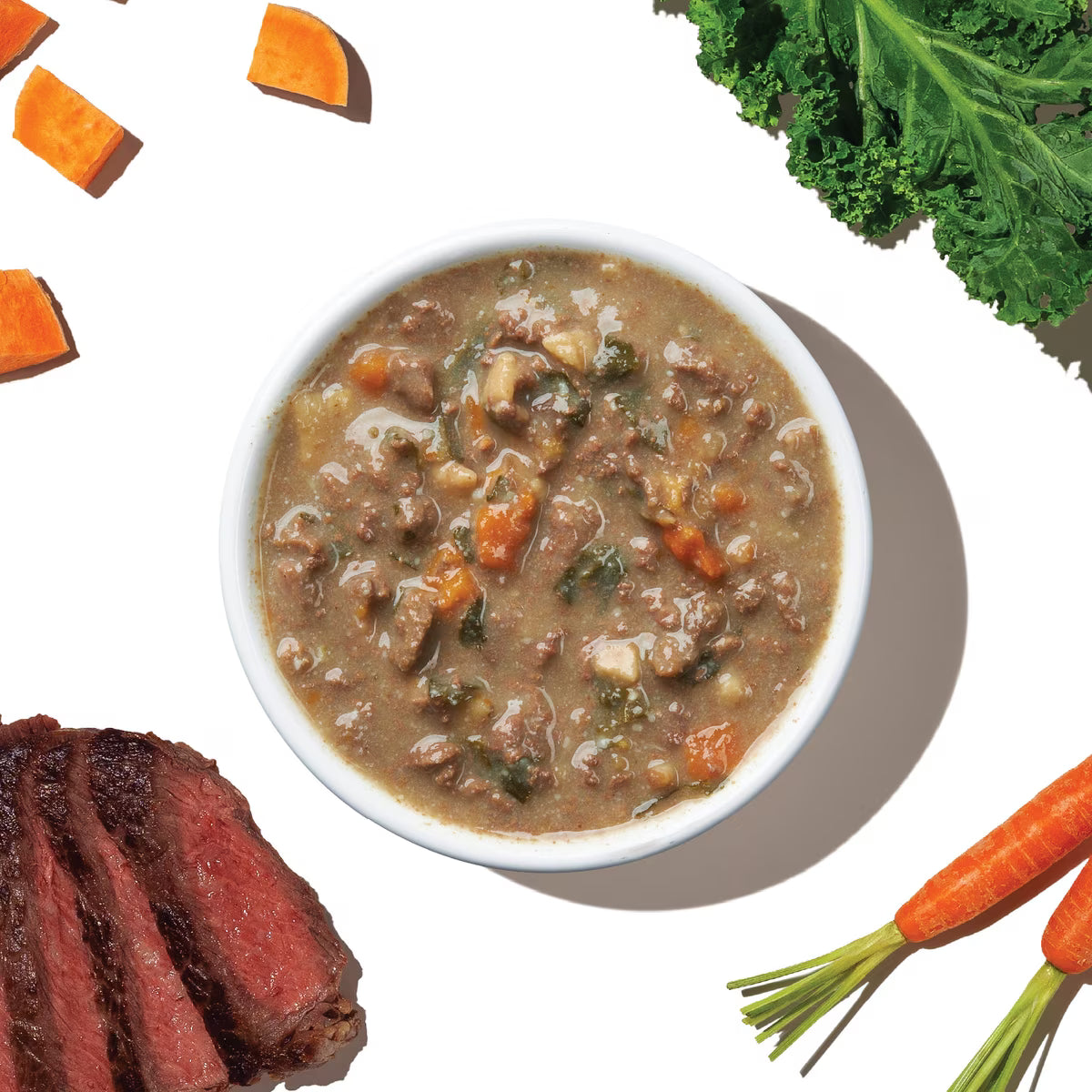 The Honest Kitchen Roasted Beef Stew Wet Dog Food 10.5oz