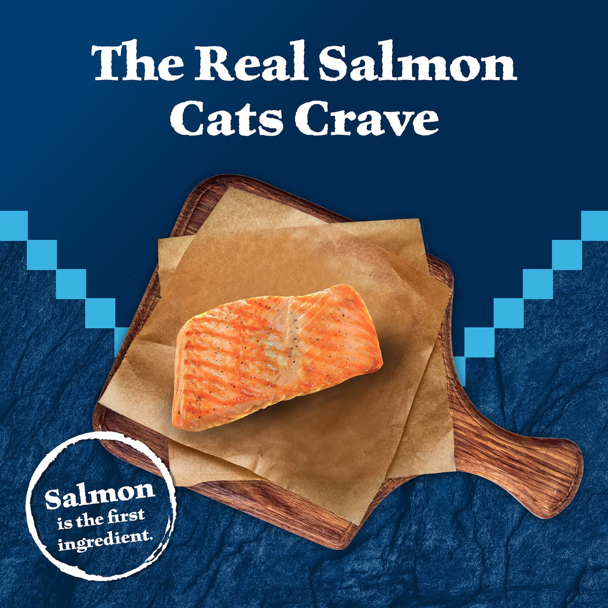BLUE Salmon Kitten  3 oz