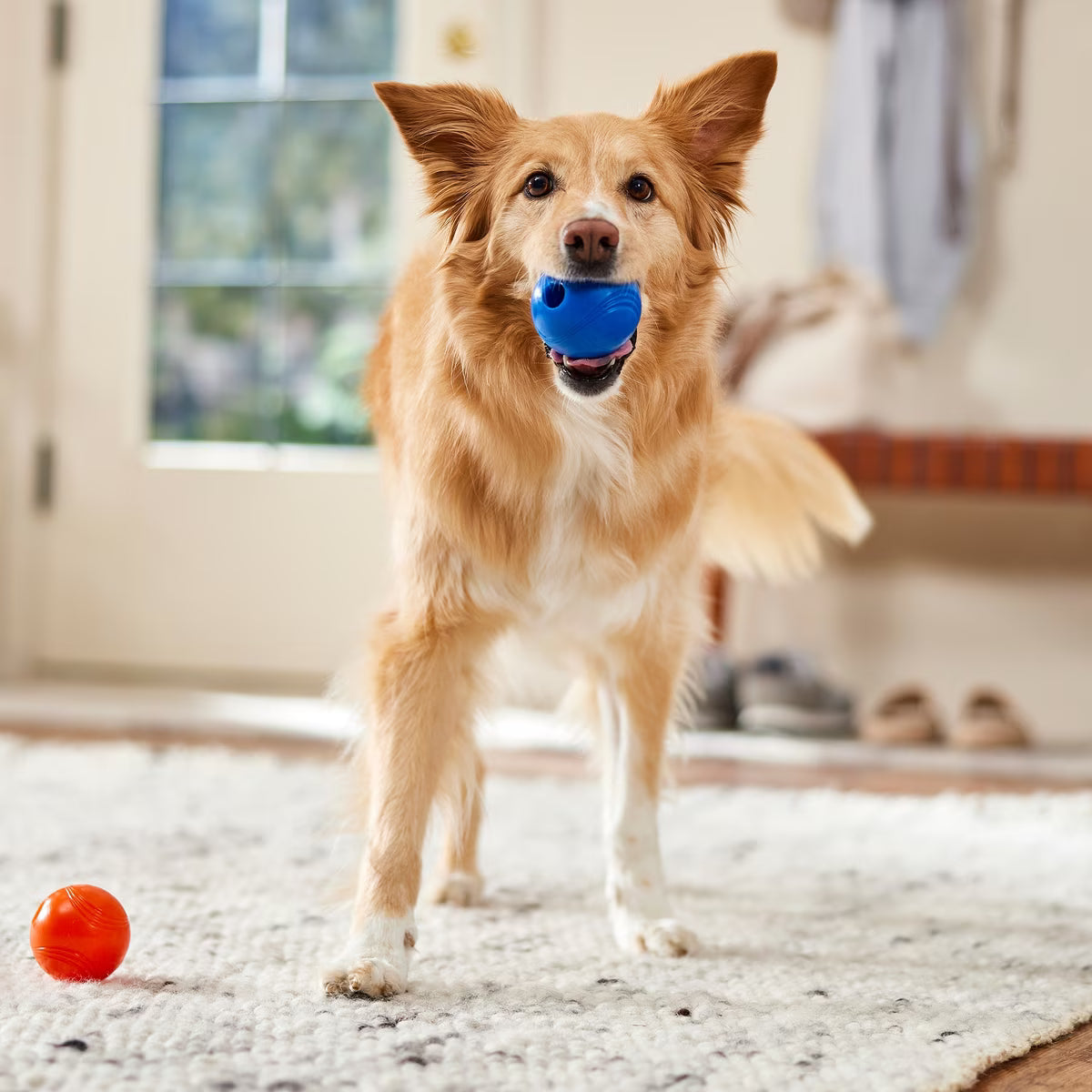 Chuckit! Strato Ball Dog Toy Medium 2pk