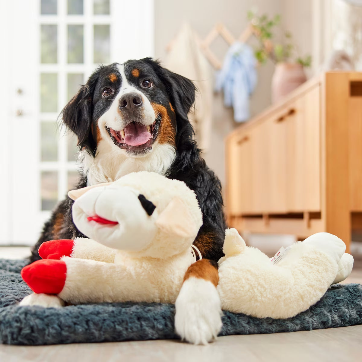 Lamb Chop Squeaky Plush Dog Toy 24"