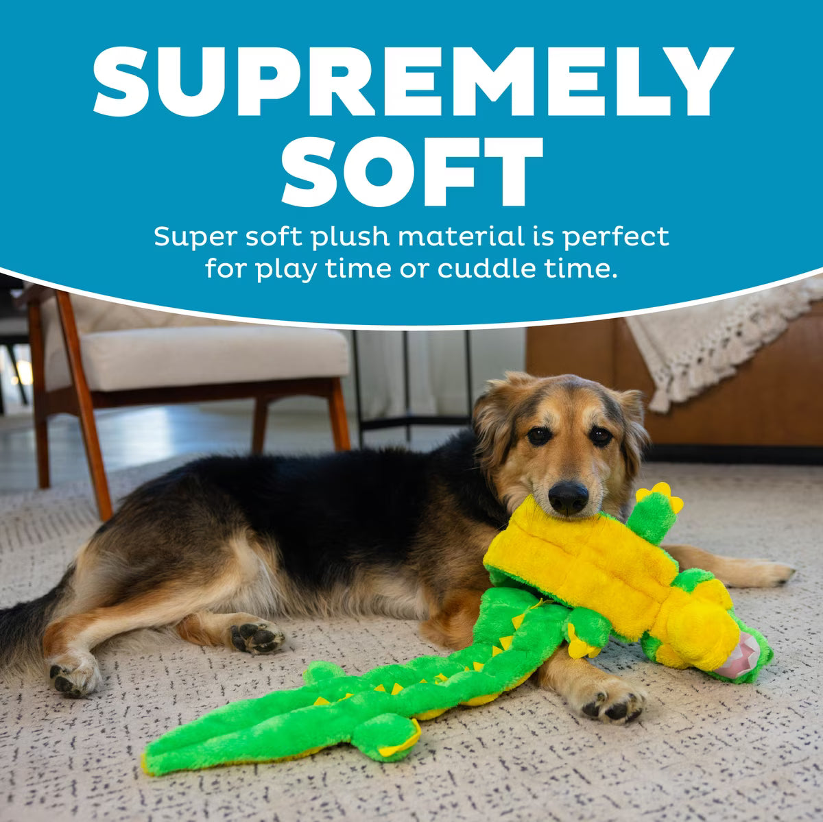 KYJ TOY SQUEAKER GIANT GATOR
