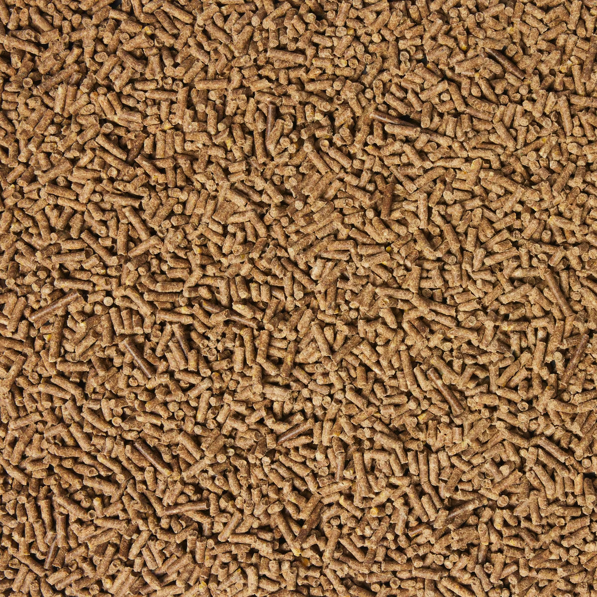 Nutrena SafeChoice Maintenance Horse Feed  50lb