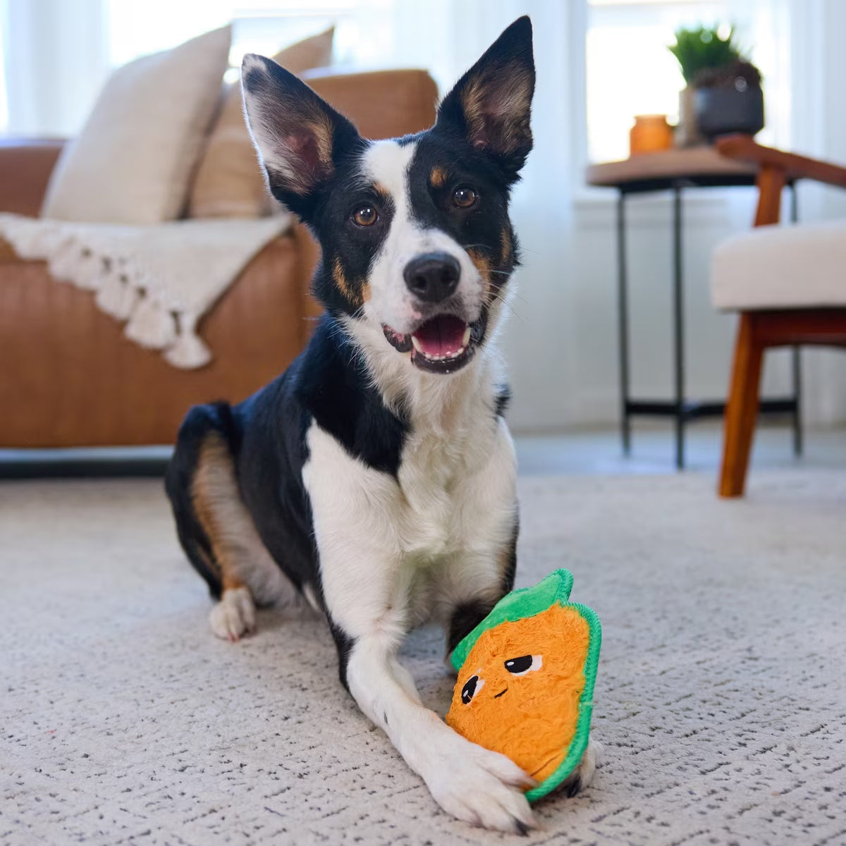 Outward Hound Tough Skinz Durable Carrot Dog Toy