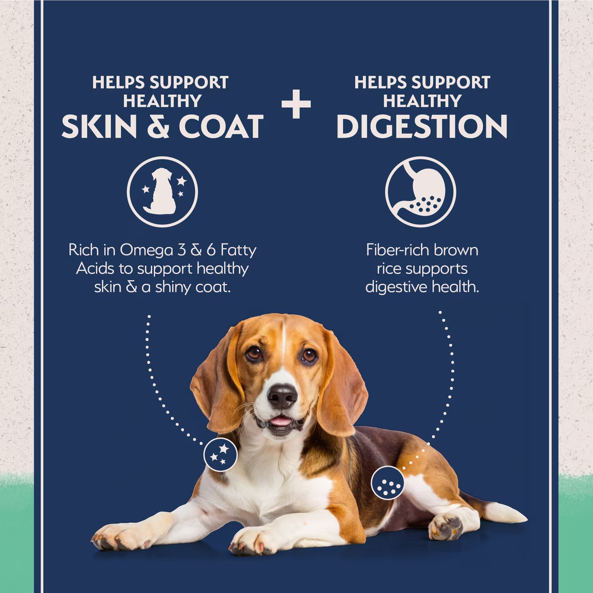 Natural Balance Limited-Ingredient Grain-Free Chicken & Sweet Potato Recipe Dry Dog Food 24lb